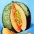 El Melón