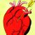 El Corazón