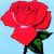 La Rosa